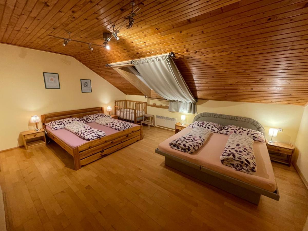 Ubytovani Duskovi Villa Lipno nad Vltavou Exteriör bild